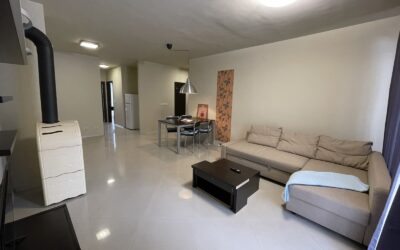 Two bedroom apartament for rent near the Business Park 450 EUR