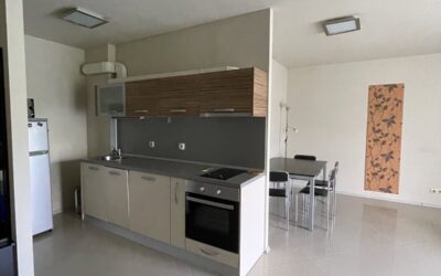 Two bedroom apartament for rent in Simeonovo 450 EUR